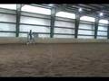 Trot work with Geremy