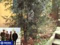 Survey of medicinal plants in XuanSon National Park