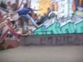 videos de new shelter ledge