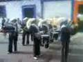 videos de colibris en la basave
