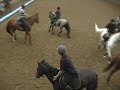 horse ball
