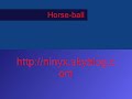 horse ball