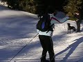 sieht ja harmlos aus, aber ich dachte ich fliege aus der loipe. im unterschied zu erika versuche ich ja immer so lang wie m�glich auf den beinen zu bleiben. meine st�rze sind daf�r nicht immer verletzungsfrei...