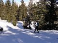 sieht ja harmlos aus, aber ich dachte ich fliege aus der loipe. im unterschied zu erika versuche ich ja immer so lang wie m�glich auf den beinen zu bleiben. meine st�rze sind daf�r nicht immer verletzungsfrei...