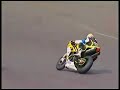 bol dor 2008