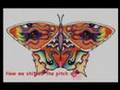 Butterfly Tweaked ♪♫