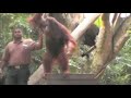 World Trip 07 - Part I - Singapore