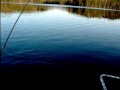 Öring i Haraldssjön Riddarhyttan