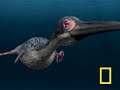 Sea Monsters 3