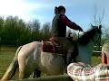 A cavallo di un Asina....