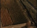 Le vigne dal deltaplano