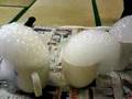 ドライアイスを洗剤液に入れてみた