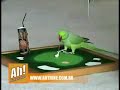 www.ahtrine.com.br Da o pe loro... www.ahtrine.com.br Da o pe loro...