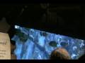 Georgia Acquarium