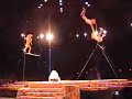 Lion King Festival-Disney World Acrobat Monkeys