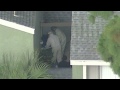 un homme tu� en floride lors d'un interrogatoire avec le fbi a peu avant sa mort avou� son implication dans un triple meurtre commis selon lui avec tamerlan tsarnaev, un des auteurs pr�sum�s de l'attentat de boston. dur�e: 00:42