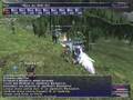 FFXI WoTG Campain Battle - Jugner Forest [S]