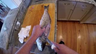 Watch this Redfish Video