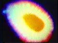 Kirlian Photography Introduction