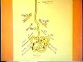 Kirlian Photography Introduction