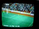 GOL DO ROGER (BRASILEIRÃO 2006) GOL DO ROGER (BRASILEIRÃO 2006)