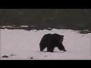 Yellowstone Park Opening Day Yellowstone Park Opening Day