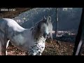 Merlin: The Labyrinth of Gedref - Next Time - BBC One Merlin: The Labyrinth of Gedref - Next Time - BBC One