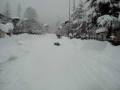 videos de U.C.S. IN MONTAGNA
