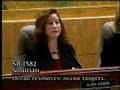 Sen. Simitian presents his SB 1582 (Sea Marshals)