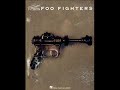 Foo fighters - There goes my hero (acoustic)