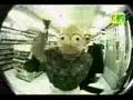 Ver Video