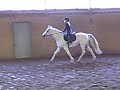 mal and sky just trotting around and around...