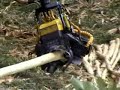 Debarking eucalyptus with AFM harvesting heads