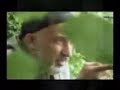 Chechen Cecenya Cecenistan Cecen