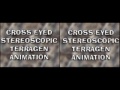 terragen 3d three dimensional stereo stereoscopic cross-eyed landscape generator