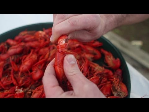 How To Eat Crawfish!