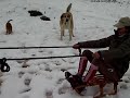 CACA ET ELO