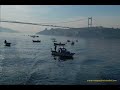Nefret - Şahi - istanbul