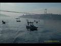 Nefret - Şahi - istanbul