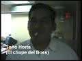 PUCHO SURICATO