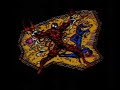 Spiderman and Venom: Maximum Carnage Spiderman and Venom: Maximum Carnage