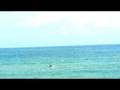 videos de china kite