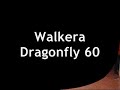 dragonfly 60 POR EDUARDO COCAL DO SUL