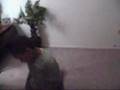 LilBalla Krump