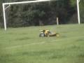 fg 23cc marder jetpro petrol rc radio control