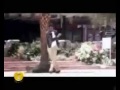 Ilayathalapathy Vijay style & dance 
