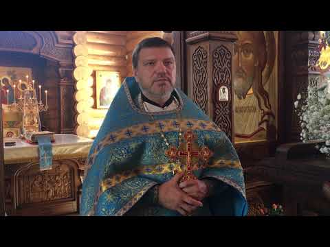 YouTube Трейлер