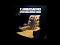 Litost - X Ambassadors