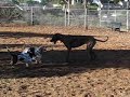Gunther with Maggie and Mitzie