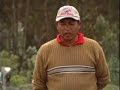 Modalidad de formación en Agropecuaria Orgánica 1 - Reto Rura Modalidad de formación en Agropecuaria Orgánica 1 - Reto Rura